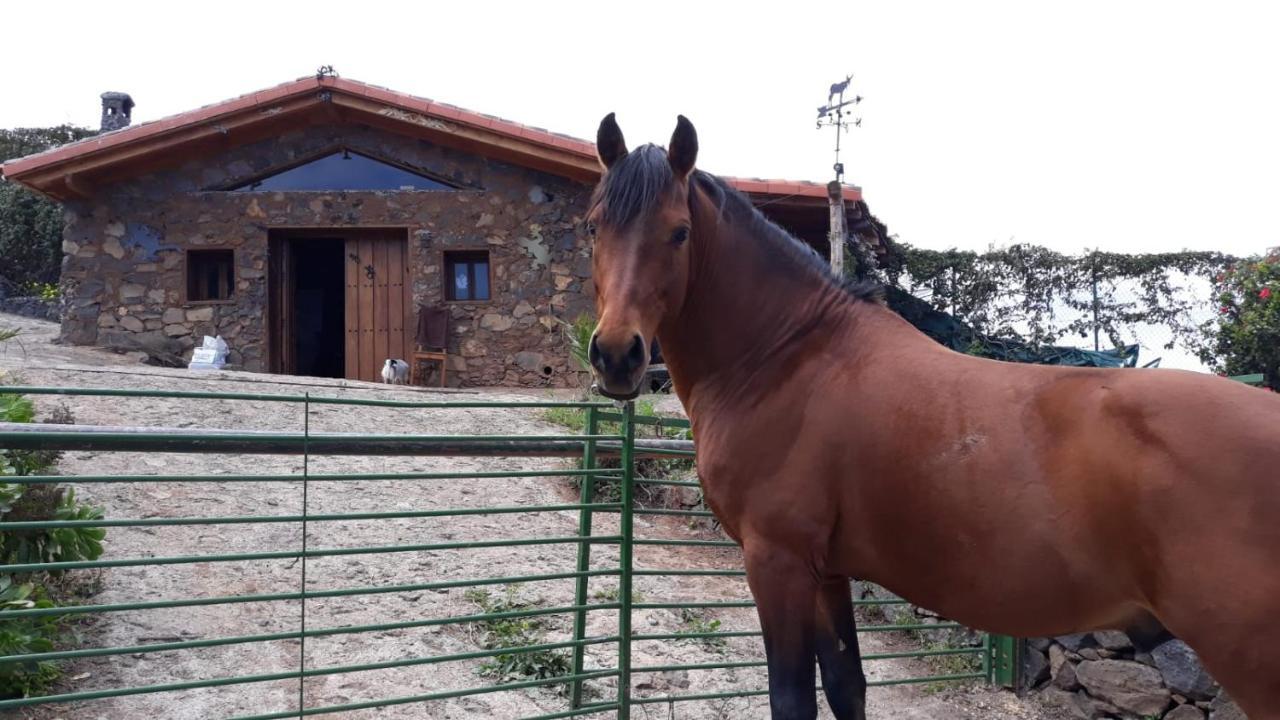 Finca Rural House Tenerife Relax And Enjoy Santa Ursula  Exterior photo
