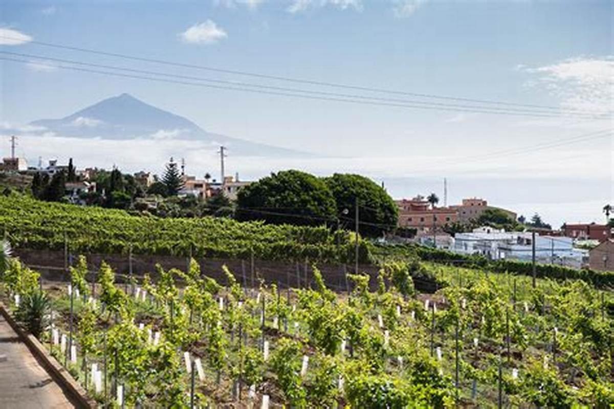 Finca Rural House Tenerife Relax And Enjoy Santa Ursula  Exterior photo