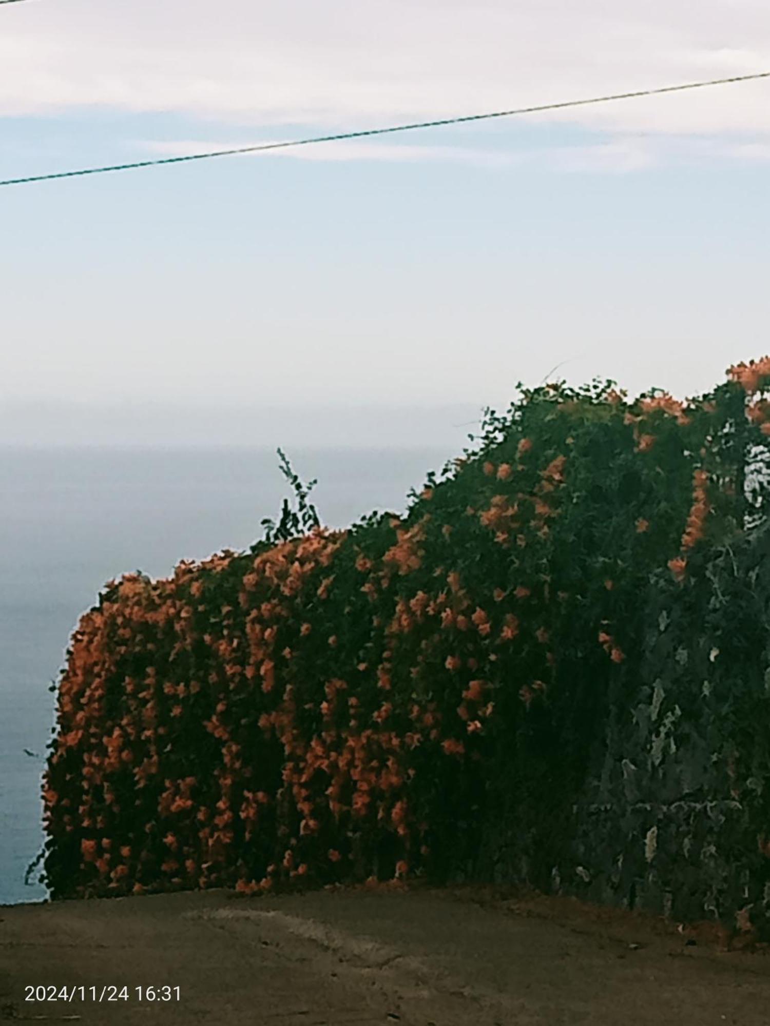 Finca Rural House Tenerife Relax And Enjoy Santa Ursula  Exterior photo