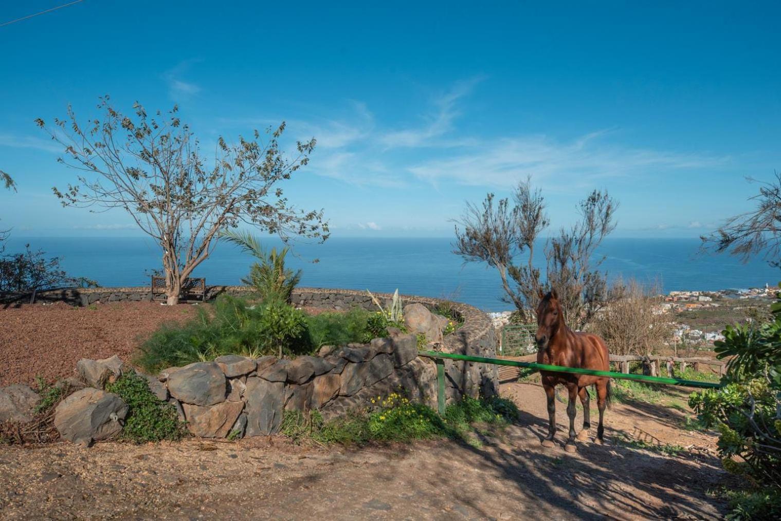 Finca Rural House Tenerife Relax And Enjoy Santa Ursula  Exterior photo