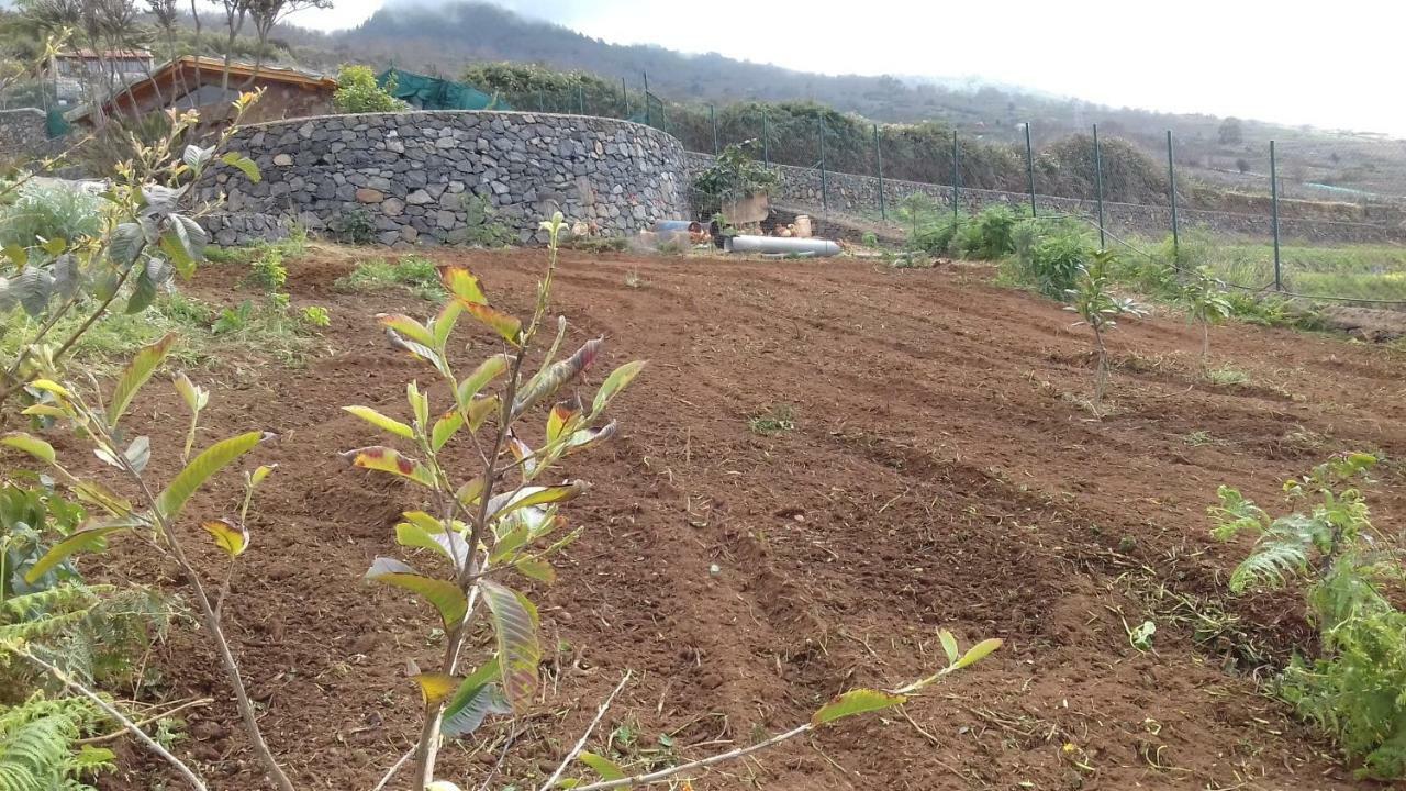 Finca Rural House Tenerife Relax And Enjoy Santa Ursula  Exterior photo