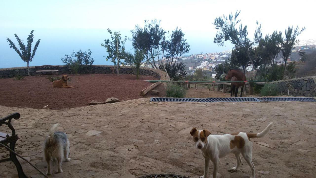 Finca Rural House Tenerife Relax And Enjoy Santa Ursula  Exterior photo